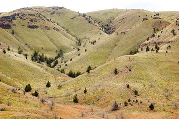 Fototapeta premium John Day Fossil Beds National Monument