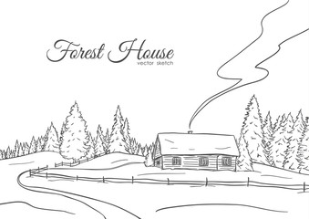 Vector illustration: Hand drawn landscape with road to house and pine forest. Sketch line design

