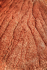  John Day Fossil Beds National Monument