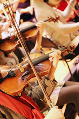 Rehearsal Symphony orchestra © Chekunov Alexandr