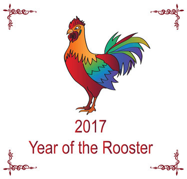 Illustration of Rooster, 2017 chinese year of rooster