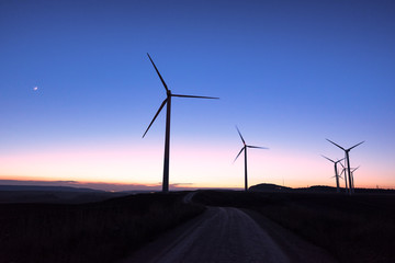 Wind farm at dusk