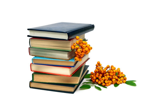 books and a bunch of rowan berries isolated on white background