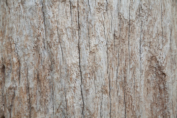 Wood texture.