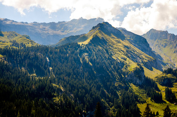 Fototapeta premium Mountain