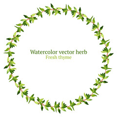 Watercolor vector wreath with thyme