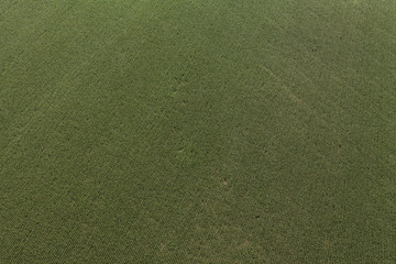 aerial view of harvest fields in Poland