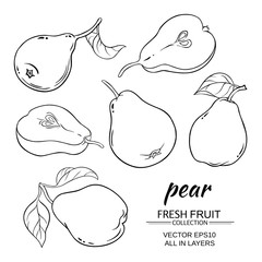 pear vector set