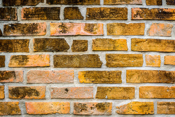 The brick wall background. The material wallpaper.