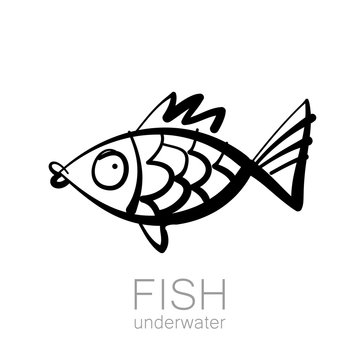 Cute fish. Aquarium fish isolated on white background. Vector illustration.