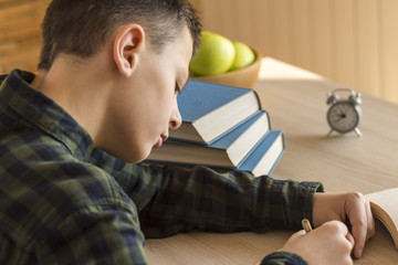 Young Schoolboy Writing on Notebook and Studying on Desk at Home