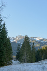 Aussicht in die Natur Berge Alpen Landschaft
