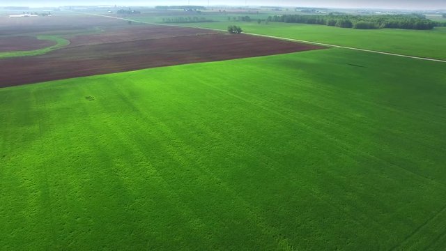 Cloud shadows cross lush green fields in rural countryside in springtime.

