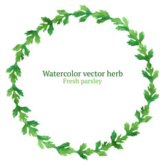 Watercolor vector wreath with parsley