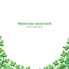 Watercolor vector frame with parsley