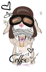 Fashion rabbit in a pilot hat with coffee.