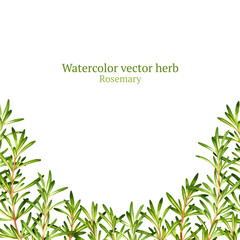 Watercolor vector frame with rosemary