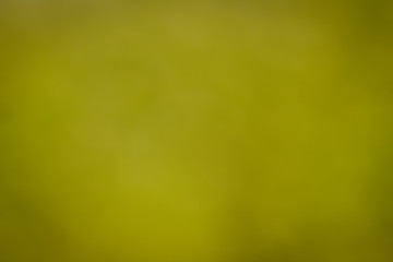 Awesome abstract blur background for webdesign