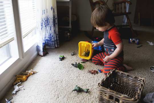 Young boy at home, playing with toy animals