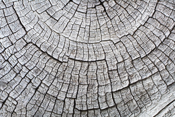 Fototapeta premium vintage style old aged wooden with crack pattern