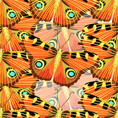 Seamless pattern with butterfly peacock  illustration