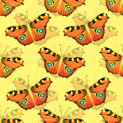 Fototapeta na wymiar Seamless pattern with butterfly peacock. illustration