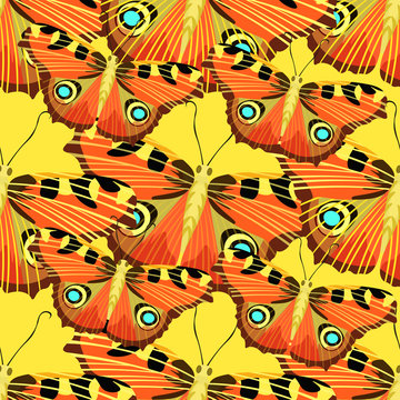 Seamless pattern with butterfly peacock. illustration