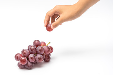 little hand picked a grape from bunch of  red grapes