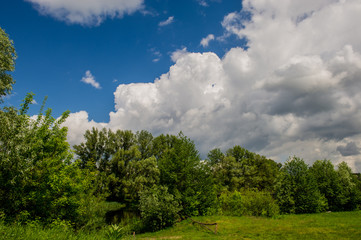 clouds and forest