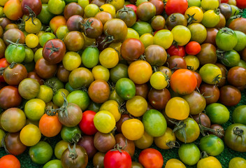 Cherry Tomatoes