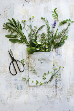 Fresh herb cuttings in white paper bag