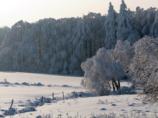 Winterlandschaft