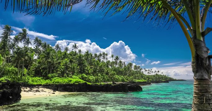 Tropical beach on Samoa Island with palm trees