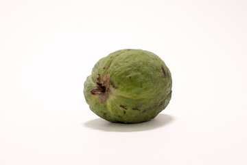 feijoa