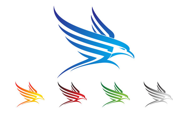 eagle, hawk, phoenix vector logo design, 
