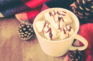 Hot Cocoa or coffee with marshmallows and cozy warm blanket.