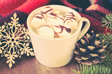 Hot Cocoa or coffee with marshmallows and cozy warm blanket.