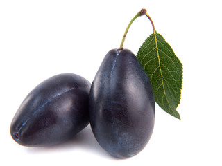 Two plums isolated on white background