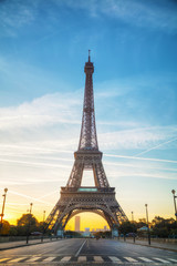 Fototapeta na wymiar Cityscape with the Eiffel tower