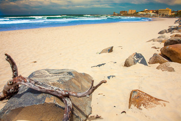 East England Südafrika