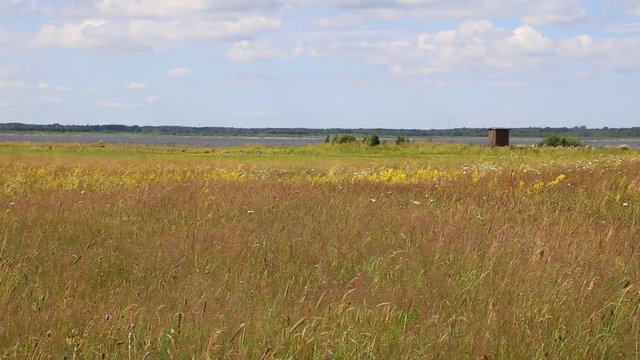 Hornborgasj&ouml;ns naturreservat in Sweden Scandinavia