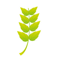 leaf plant silhouette icon vector illustration design