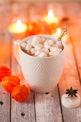 Obraz na płótnie Canvas Cacao mug with marshmallow