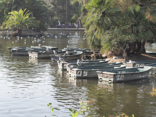 Lago y barcas de remos en el parque de la Ciutadella en Barcelona, Cataluña,España