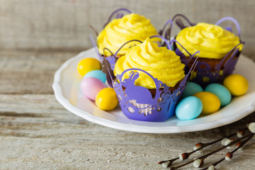 Easter cupcakes with eggs and flaffy willow