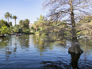 Lago en el parque de la Ciutadella en Barcelona, Cataluña,España