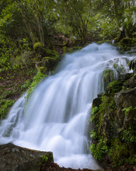 Fototapeta premium Cliff Falls Branch Smoky Mnts NP