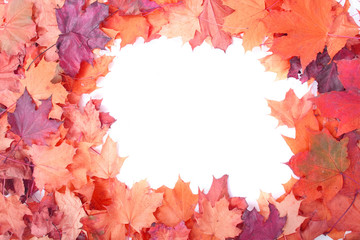 autumn color background