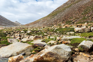 Natural landscape in Leh Ladakh