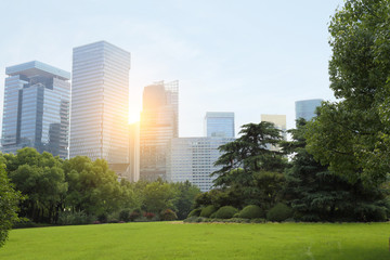 Fototapeta premium cityscape